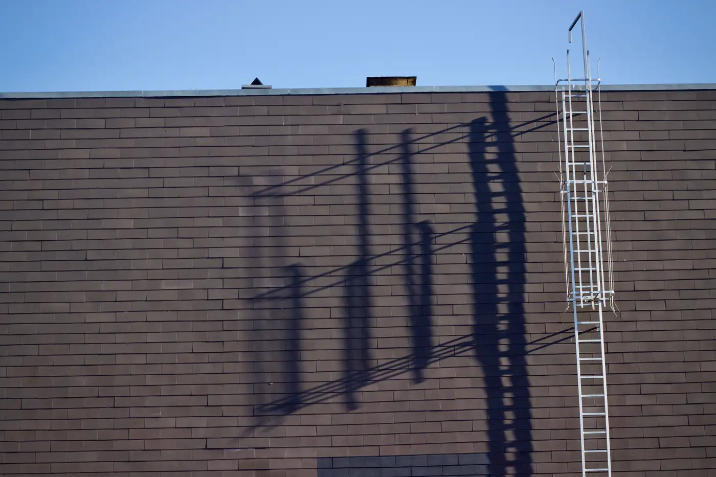 A ladder leaning against a brick building wall, its long shadow stretching across the brick under a clear sky.